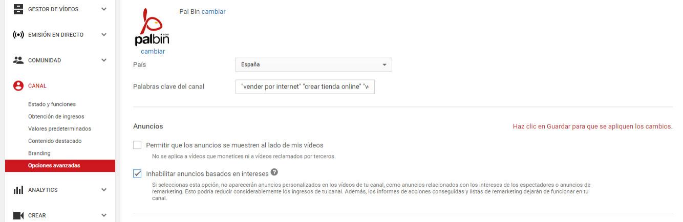 Publicidad en Youtube - 6