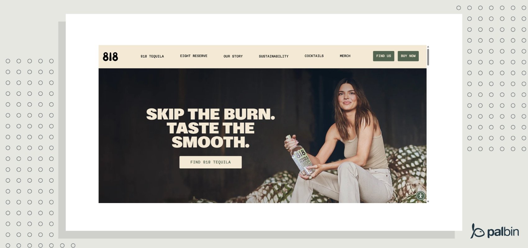 Ecommerce de Kendall Jenner 818