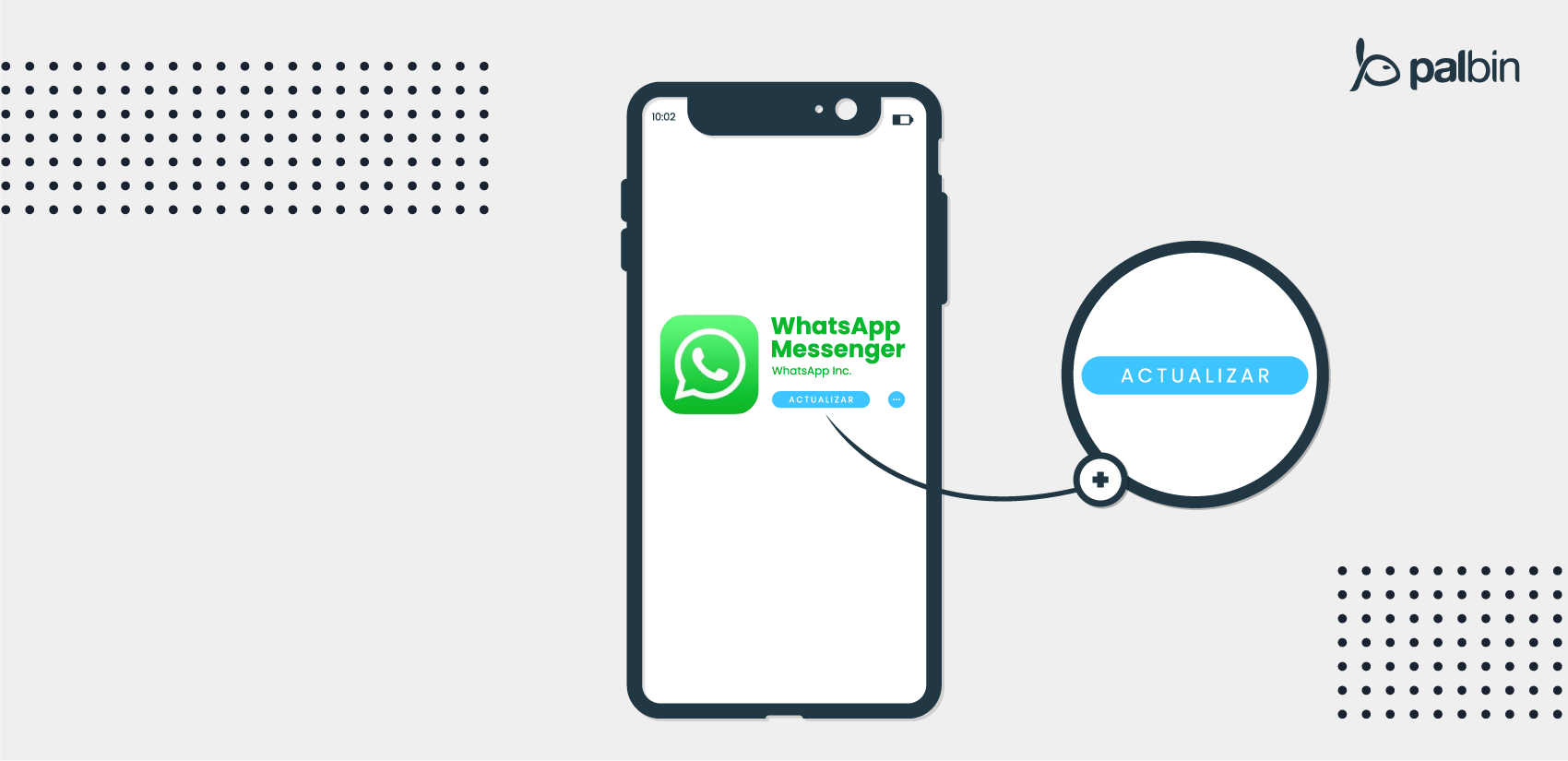 Actualizar a WhatsApp pagos
