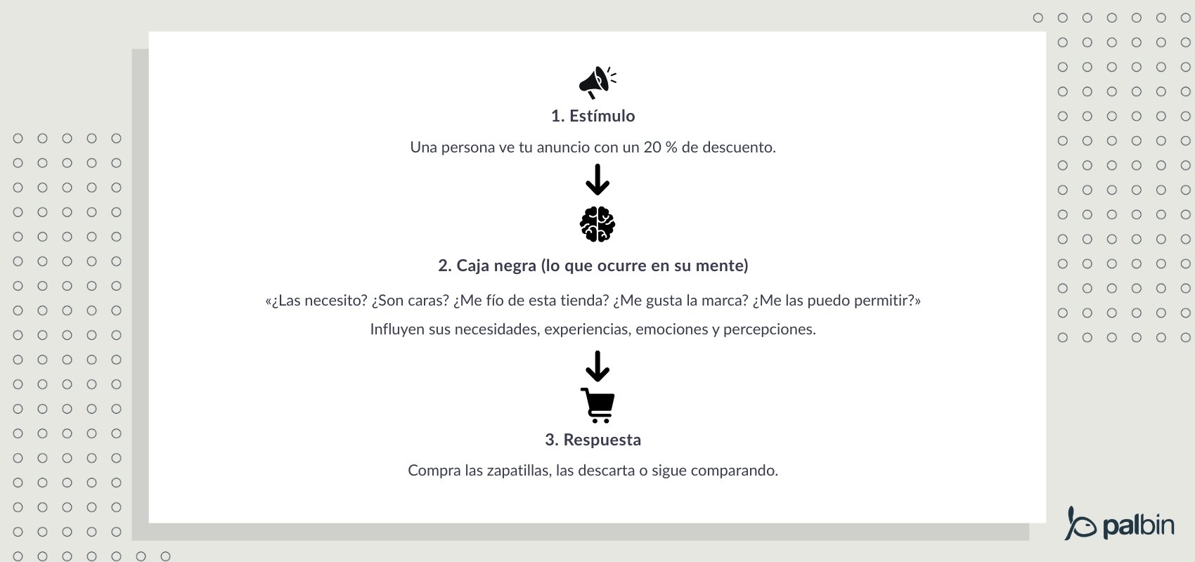 ejemplo practico caja negra del consumidor