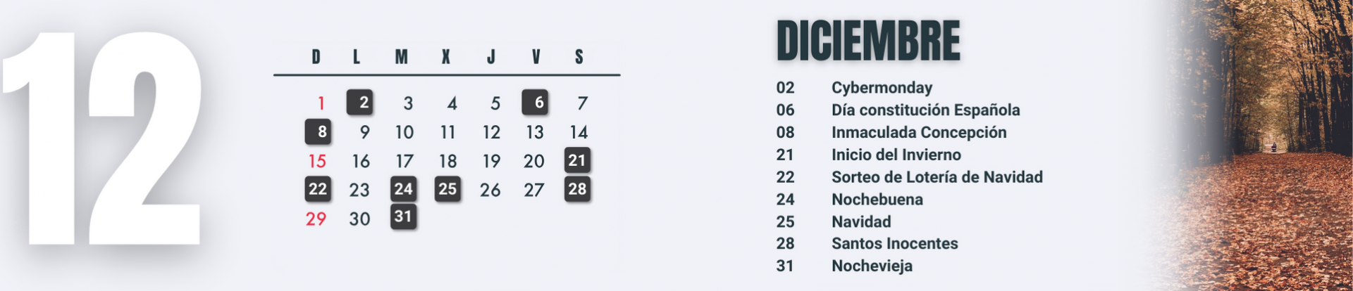 calendario de marketing diciembre 2024