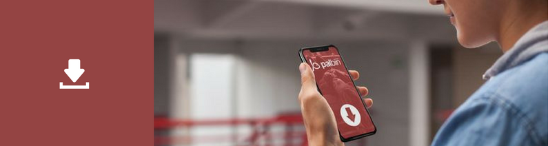 Descargar Guía M-Commerce