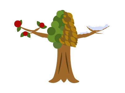 Estacionalidad Palbin