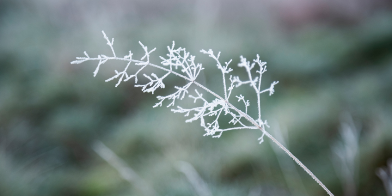 invierno calendario ecommerce 2023