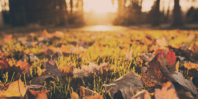 otoño calendario ecommerce 2023