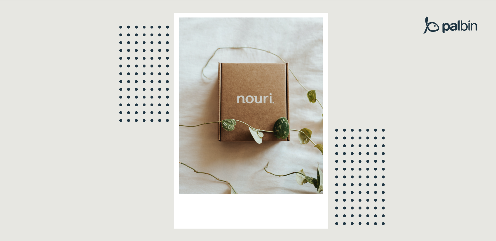 crear packaging online