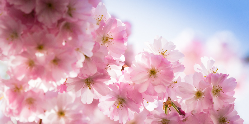 primavera calendario ecommerce 2023