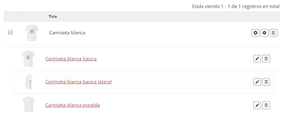 Vistas de producto personalizable
