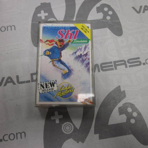 Professional Ski Simulator
