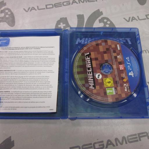 Minecraft [1]