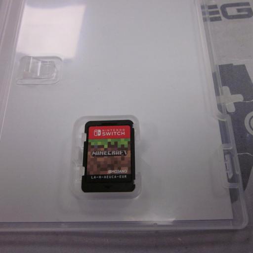 Minecraft [1]