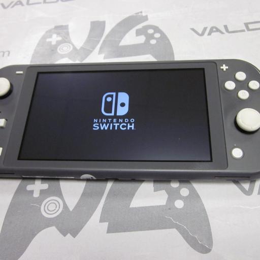  Nintendo Switch Lite gris [5]