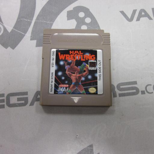 Hal Wrestling 