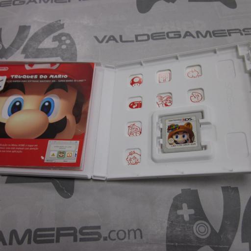 Super Mario 3D Land [1]