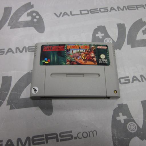 Donkey Kong Country [1]