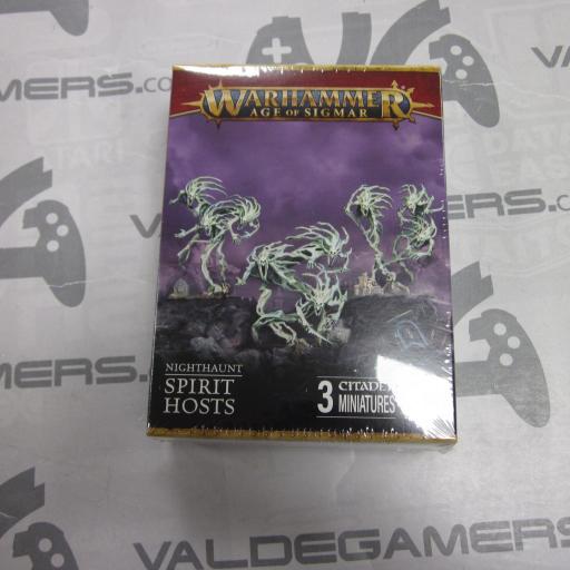 Warhammer Ageo of Sigmar - NIGHTHAUNT Spirit Hosts - 93-08