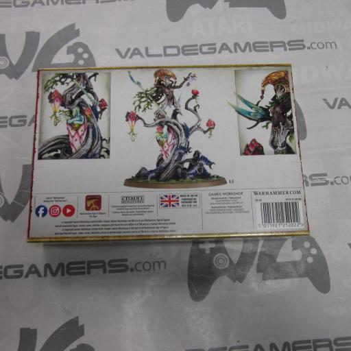 Sylvaneth: Guardian De La Arboleda - 92-54 [1]