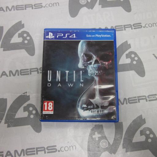 Until Dawn