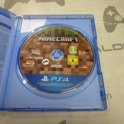 Minecraft [1]