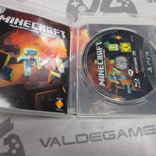 Minecraft [1]