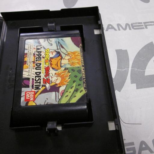 Dragon Ball Z: L'Appel du Destin [1]
