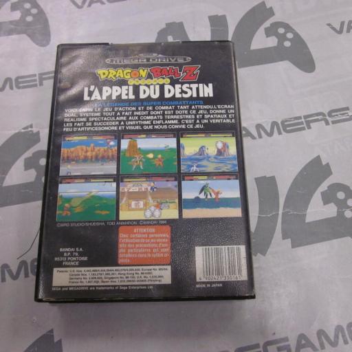 Dragon Ball Z: L'Appel du Destin [4]