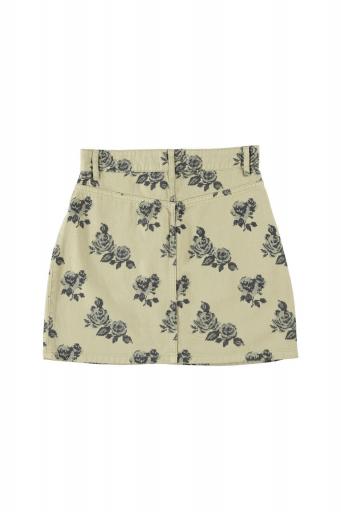 Sisters Department,Short skirt | Light green w/ black roses  [2]