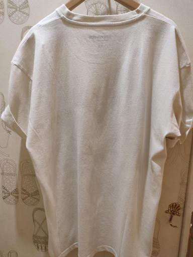 Brewster,SKI TARENTINO Teeshirt short sleeves,Camiseta beige [2]