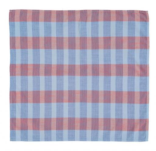 Piupiuchick bandana | blue checkered [1]