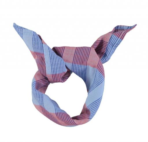 Piupiuchick bandana | blue checkered