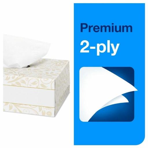 Caja de pañuelos de papel extra suaves 2 hojas Tork Premium (30x100) CH571 [2]