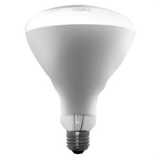 Lámpara calentadora inastillable 250W Buffalo AE307 [0]