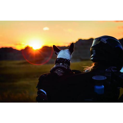 Kuryakyn Pet Palace Titan: El Trono de 78L para tu Mejor Amigo [1]