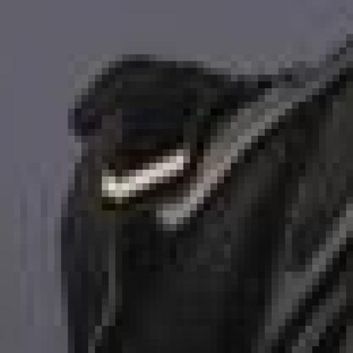 SD-BC9 Premier - Urban Negro | Versatilidad y Estilo Sin Género  [3]