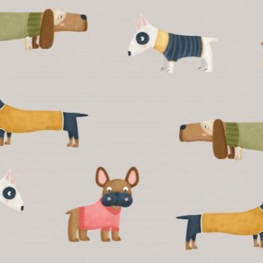 PERRITOS CON JERSEY    ( EN 10 DISTINTOS ) 
