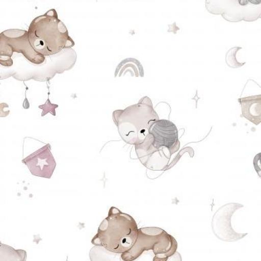 GATOS SOÑANDO BLANCOS 
