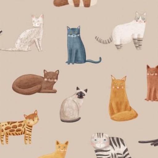 RAZAS DE GATOS BEIG        ( EN 10 DISTINTOS )  [0]