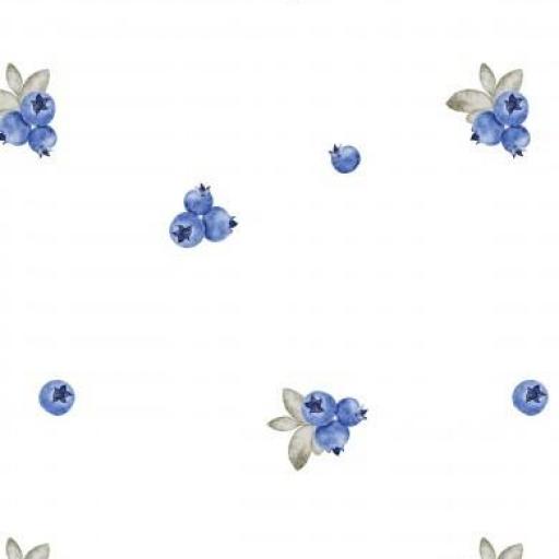 PEQUEÑOS ARÁNDANOS ( EN 10 TEJIDOS DISTINTOS )  [0]