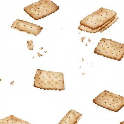 GALLETAS  BLANCO      (  EN 10 TEJIJDOS DISTINTOS ) 