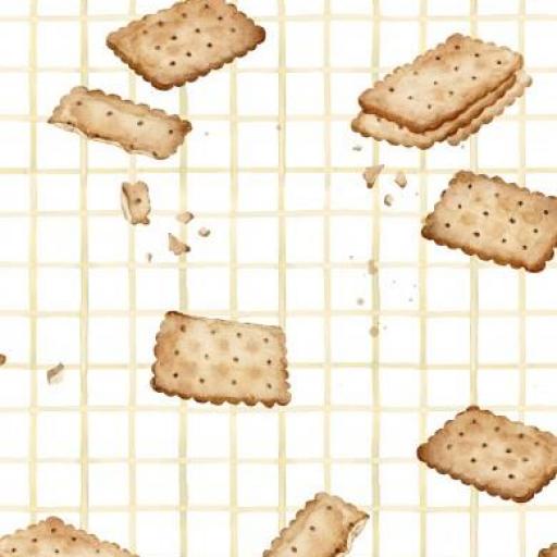 GALLETAS  CUADRÍCULA      (  EN 10 TEJIJDOS DISTINTOS ) 