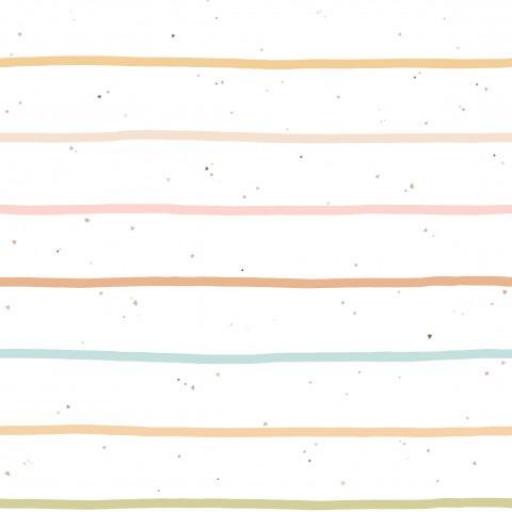 RAYAS DE COLORES         (  en 10 tejidos distintos ) 