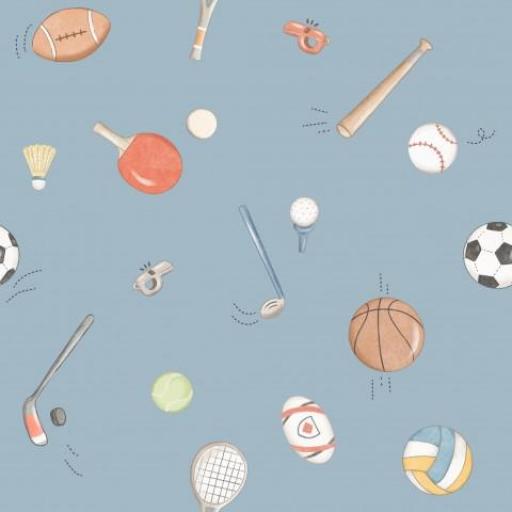 DEPORTES DE PELOTA AZUL      ( EN 10 TEJIDOS DISTINTOS )  [0]