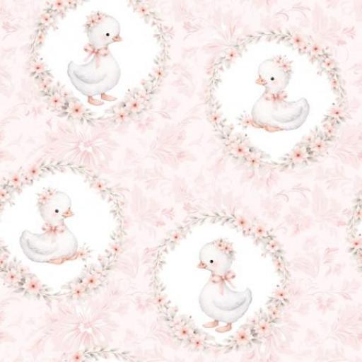 PATOS EN MARCO FLORAL ROSA   (  en 10 tejidos distintos )  [0]