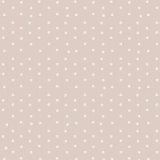 PUNTOS BEIG MAQUILLAJE     (  en 10 tejidos distintos )  [0]
