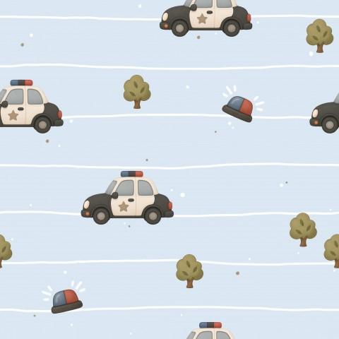 COCHES DE POLICÍA