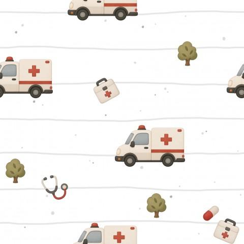 COCHES AMBULANCIAS