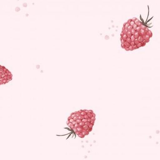 FRAMBUESAS ROSA     ( EN 10 TEJIDOS DISTINTOS )  [0]