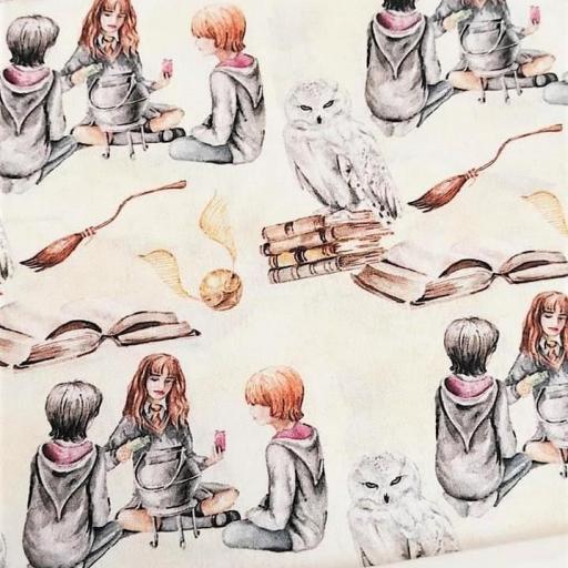 POPELÍN ESCUELA DE MAGIA HARRY Y AMIGOS 