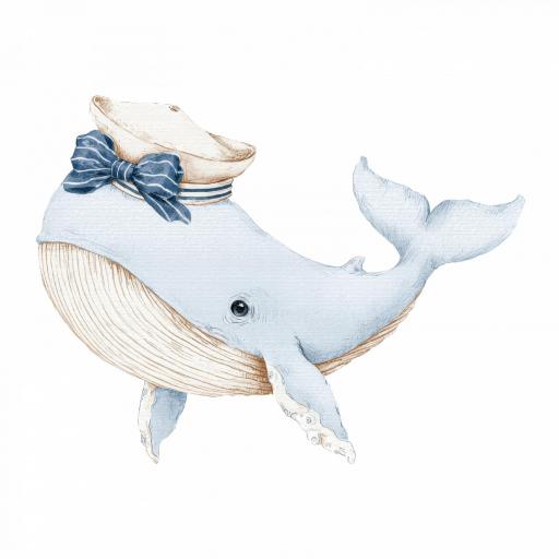 TRANSFER DTF  14 cm aprox SERIE MARINERO BABY CELESTE  [1]