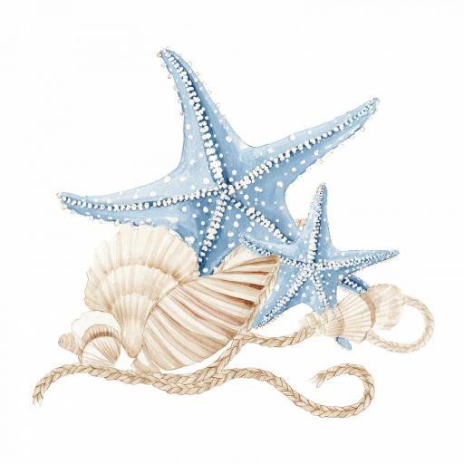 TRANSFER DTF  14 cm aprox SERIE MARINERO BABY CELESTE  [5]